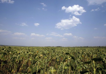 Мораторий на продажу земли сельскохозяйственного назначения до 2015 года продлен не будет