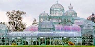 В Брюсселе открыты для посещения королевские оранжереи