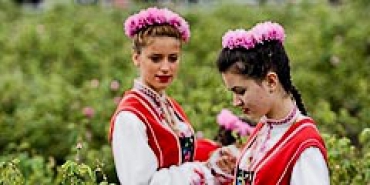 Болгария устраивает фестиваль роз