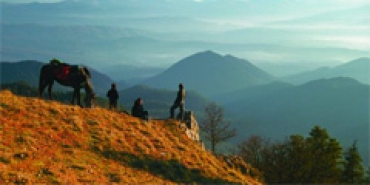 Природные парки Грузии посетят рекордное количество туристов