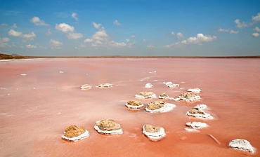 Розовое озеро в Украине