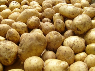 Чужой картофель в аграрной стране