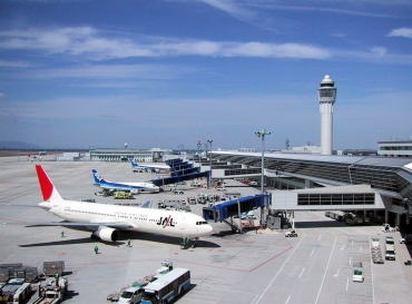Приватизация аэропортов