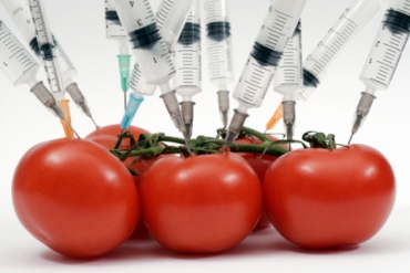 Как выявить ГМО в продуктах?