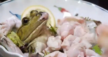 Японцы едят умирающих лягушек