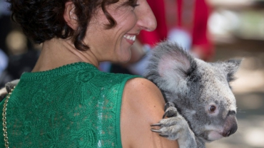 Жены мировых лидеров провели фотосессию с коалами