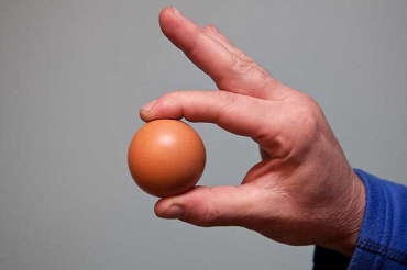 Жительница Британии заработала неплохие деньги на идеально круглом яйце