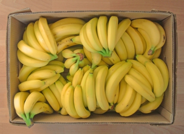 160 млн бананов выбрасывается в Британии ежегодно