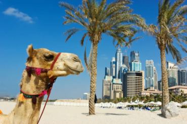 Дубаї будуть залучати недорогих туристів