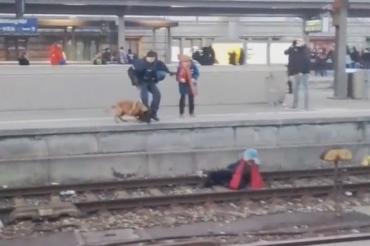 Полицейский пес столкнул женщину на рельсы